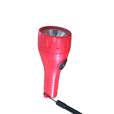 Waterproof electric torch